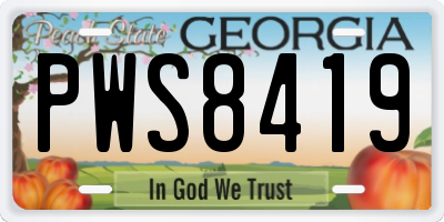 GA license plate PWS8419