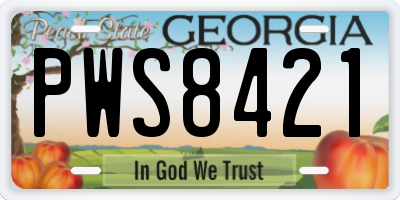 GA license plate PWS8421
