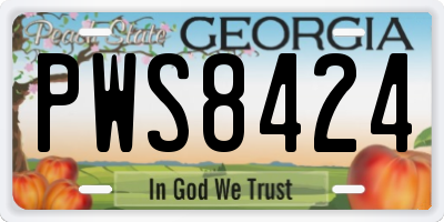 GA license plate PWS8424