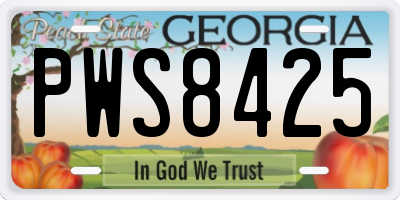 GA license plate PWS8425