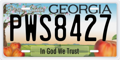 GA license plate PWS8427