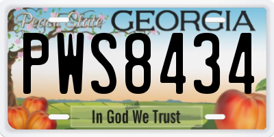 GA license plate PWS8434