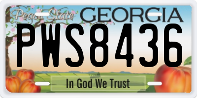 GA license plate PWS8436