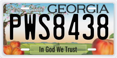 GA license plate PWS8438