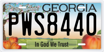 GA license plate PWS8440