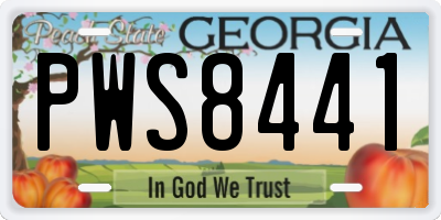 GA license plate PWS8441