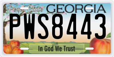 GA license plate PWS8443