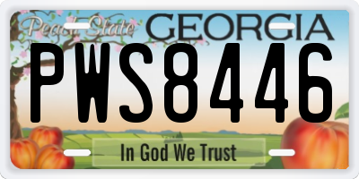 GA license plate PWS8446