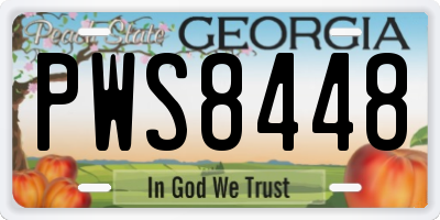 GA license plate PWS8448