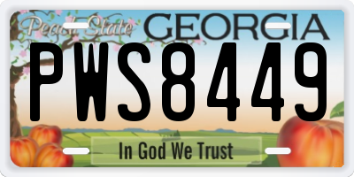 GA license plate PWS8449