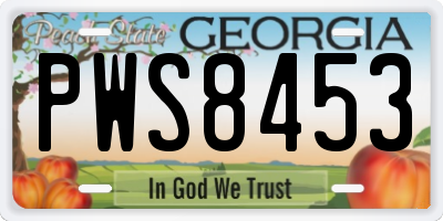 GA license plate PWS8453