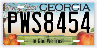 GA license plate PWS8454