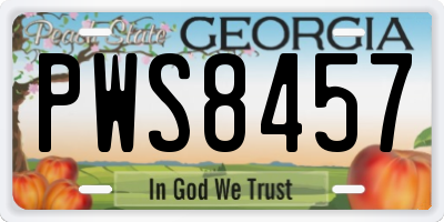 GA license plate PWS8457