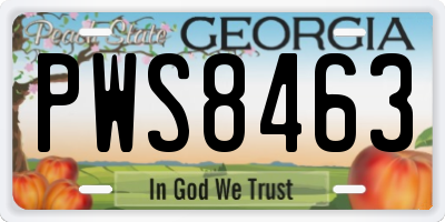 GA license plate PWS8463