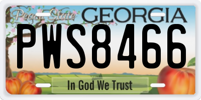 GA license plate PWS8466
