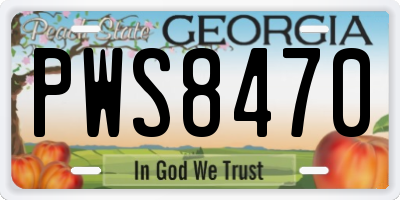 GA license plate PWS8470