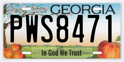 GA license plate PWS8471