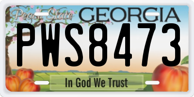 GA license plate PWS8473
