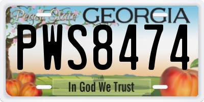 GA license plate PWS8474