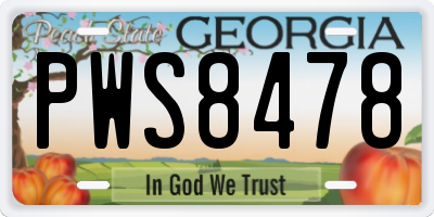 GA license plate PWS8478