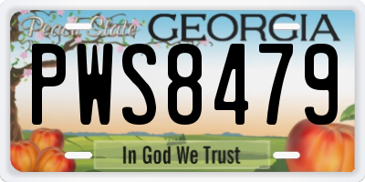 GA license plate PWS8479