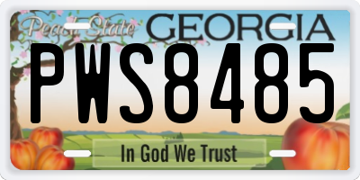 GA license plate PWS8485