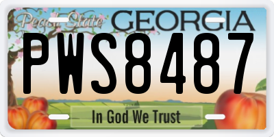 GA license plate PWS8487