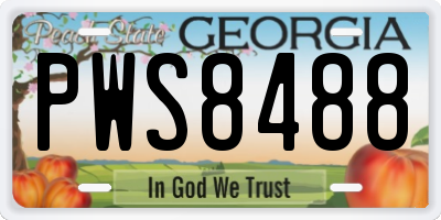 GA license plate PWS8488