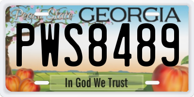 GA license plate PWS8489