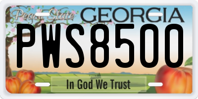 GA license plate PWS8500