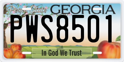 GA license plate PWS8501