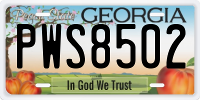 GA license plate PWS8502