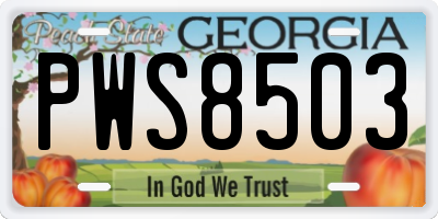 GA license plate PWS8503
