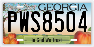 GA license plate PWS8504
