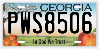 GA license plate PWS8506