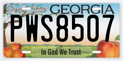 GA license plate PWS8507
