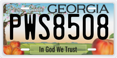 GA license plate PWS8508