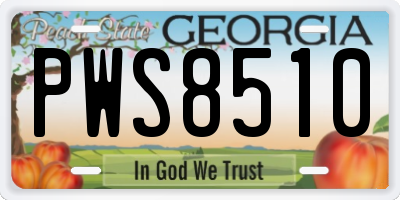 GA license plate PWS8510