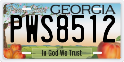 GA license plate PWS8512
