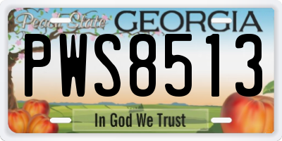 GA license plate PWS8513