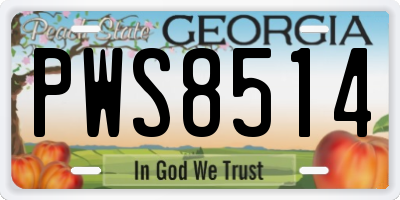 GA license plate PWS8514