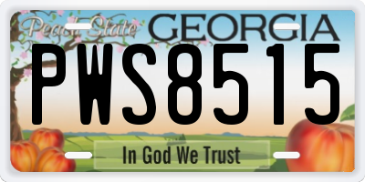 GA license plate PWS8515