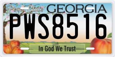 GA license plate PWS8516
