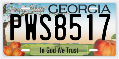 GA license plate PWS8517