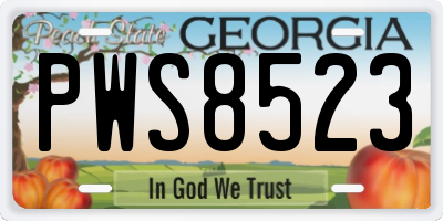 GA license plate PWS8523