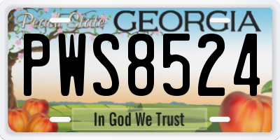 GA license plate PWS8524