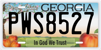 GA license plate PWS8527