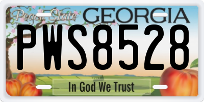 GA license plate PWS8528
