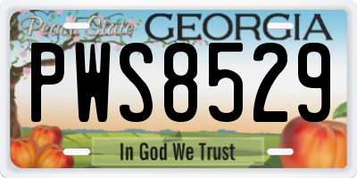 GA license plate PWS8529