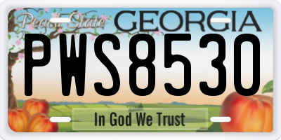 GA license plate PWS8530